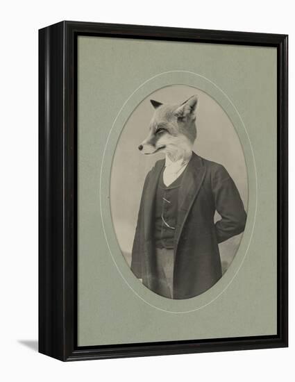 Gentleman Fox-J Hovenstine Studios-Framed Premier Image Canvas