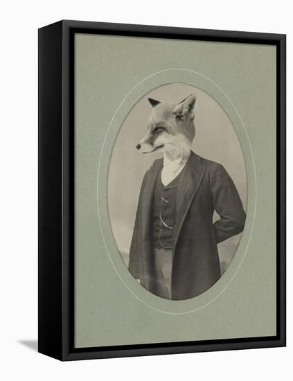 Gentleman Fox-J Hovenstine Studios-Framed Premier Image Canvas