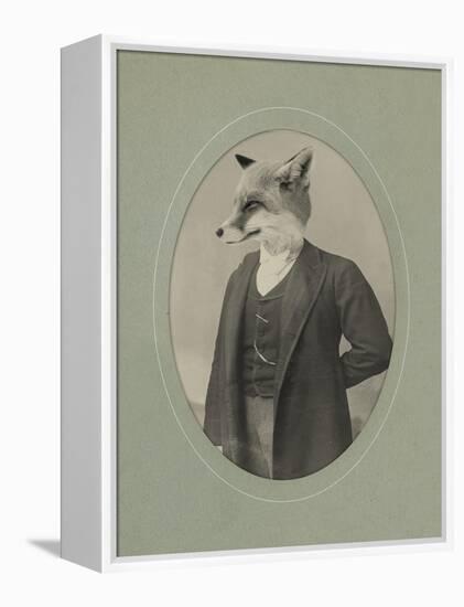 Gentleman Fox-J Hovenstine Studios-Framed Premier Image Canvas