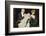 Gentleman Helps a Lady with Her Shawl-Evans-Framed Photographic Print