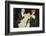 Gentleman Helps a Lady with Her Shawl-Evans-Framed Photographic Print