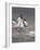 Gentoo Penguin. Barrientos Island, South Shetland Islands, Antarctica.-Tom Norring-Framed Photographic Print