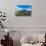 Gentoo penguin colony in the bay of Godthul, South Georgia, Antarctica, Polar Regions-Michael Runkel-Photographic Print displayed on a wall