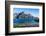 Gentoo penguin colony on the edge of the bay of Godthul, South Georgia, Antarctica, Polar Regions-Michael Runkel-Framed Photographic Print