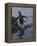 Gentoo penguin emerging from the ocean, Antarctica-Art Wolfe-Framed Premier Image Canvas