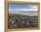 Gentoo Penguin Falkland Islands. Colony.-Martin Zwick-Framed Premier Image Canvas