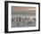 Gentoo Penguin Falkland Islands.-Martin Zwick-Framed Photographic Print