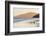 Gentoo Penguin Falkland Islands.-Martin Zwick-Framed Photographic Print