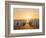 Gentoo penguin on a sandy beach in the Falkland Islands in January.-Martin Zwick-Framed Photographic Print