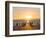 Gentoo penguin on a sandy beach in the Falkland Islands in January.-Martin Zwick-Framed Photographic Print