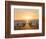 Gentoo penguin on a sandy beach in the Falkland Islands in January.-Martin Zwick-Framed Photographic Print