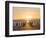 Gentoo penguin on a sandy beach in the Falkland Islands in January.-Martin Zwick-Framed Photographic Print