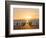 Gentoo penguin on a sandy beach in the Falkland Islands in January.-Martin Zwick-Framed Photographic Print