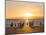 Gentoo penguin on a sandy beach in the Falkland Islands in January.-Martin Zwick-Mounted Photographic Print