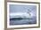 Gentoo Penguin on Cuverville Island, Antarctica-Paul Souders-Framed Photographic Print