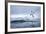 Gentoo Penguin on Cuverville Island, Antarctica-Paul Souders-Framed Photographic Print