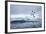 Gentoo Penguin on Cuverville Island, Antarctica-Paul Souders-Framed Photographic Print
