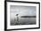 Gentoo Penguin on Cuverville Island, Antarctica-Paul Souders-Framed Photographic Print