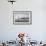 Gentoo Penguin on Cuverville Island, Antarctica-Paul Souders-Framed Photographic Print displayed on a wall