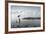 Gentoo Penguin on Cuverville Island, Antarctica-Paul Souders-Framed Photographic Print