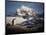 Gentoo Penguin on Goudier Island, Antarctica-Paul Souders-Mounted Photographic Print