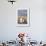 Gentoo Penguin on the Falkland Islands, Rookery under a Rainbow-Martin Zwick-Framed Photographic Print displayed on a wall