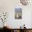 Gentoo Penguin on the Falkland Islands, Rookery under a Rainbow-Martin Zwick-Mounted Photographic Print displayed on a wall