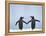 Gentoo Penguin Pair 'Holding Hands'-null-Framed Premier Image Canvas