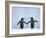 Gentoo Penguin Pair 'Holding Hands'-null-Framed Photographic Print