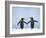 Gentoo Penguin Pair 'Holding Hands'-null-Framed Photographic Print