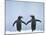 Gentoo Penguin Pair 'Holding Hands'-null-Mounted Photographic Print