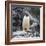 Gentoo penguin, Paradise Bay, Skontorp Cove, Antarctica-William Perry-Framed Photographic Print