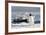 Gentoo Penguin (Pygoscelis Papua) And Antarctic Cruise Liner 'Mv Ushuaia' In Neko Harbour-Enrique Lopez-Tapia-Framed Premium Photographic Print