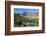 Gentoo Penguin (Pygoscelis papua) colony, Godthul, South Georgia, Antarctica, Polar Regions-Michael Runkel-Framed Photographic Print