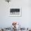 Gentoo Penguin Walking to their Rookery, Falkland Islands-Martin Zwick-Framed Photographic Print displayed on a wall