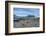 Gentoo penguins (Pygoscelis papua) colony, Prion Island, South Georgia, Antarctica, Polar Regions-Michael Runkel-Framed Photographic Print