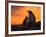 Gentoo Penguins Silhouetted at Sunset on Petermann Island, Antarctic Peninsula-Hugh Rose-Framed Photographic Print