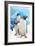 Gentoo Penguins-Lantern Press-Framed Art Print