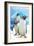 Gentoo Penguins-Lantern Press-Framed Art Print