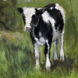 A Black and White Spotted Calf, Standing in a Meadow-Geo Poggenbeek-Art Print