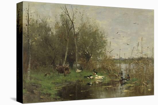 Stretched Canvas Print, , large