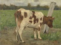 A Black and White Spotted Calf, Standing in a Meadow-Geo Poggenbeek-Art Print