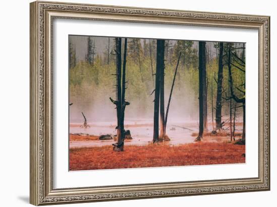 Geo Thermal Trees, Yellowstone National Park-null-Framed Photographic Print