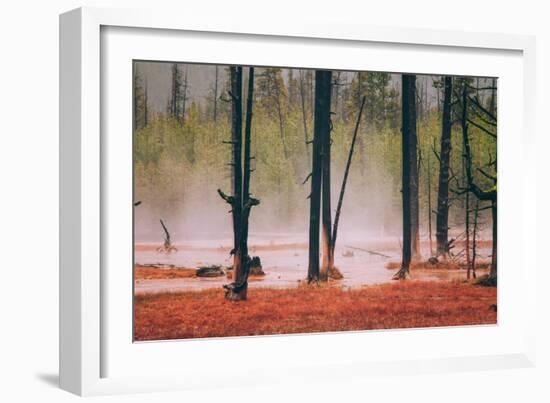 Geo Thermal Trees, Yellowstone National Park-null-Framed Photographic Print