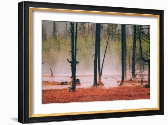 Geo Thermal Trees, Yellowstone National Park-null-Framed Photographic Print