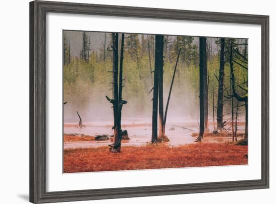 Geo Thermal Trees, Yellowstone National Park-null-Framed Photographic Print