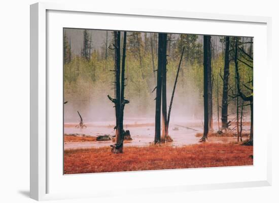 Geo Thermal Trees, Yellowstone National Park-null-Framed Photographic Print