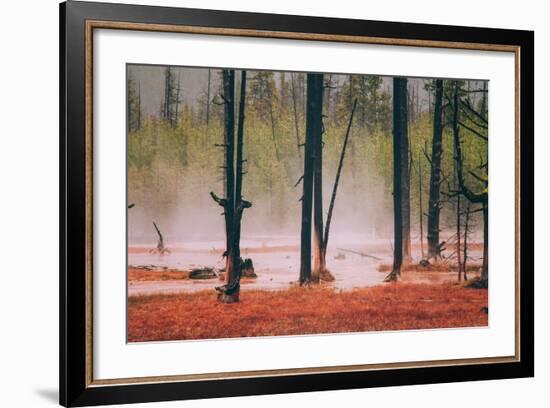 Geo Thermal Trees, Yellowstone National Park-null-Framed Photographic Print