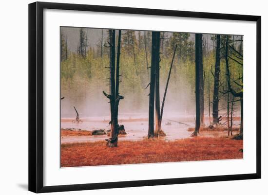 Geo Thermal Trees, Yellowstone National Park-null-Framed Photographic Print