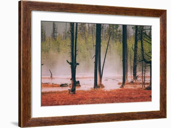 Geo Thermal Trees, Yellowstone National Park-null-Framed Photographic Print